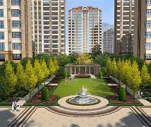 散人岛kffojvitbf8fkco