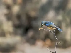 乐鱼 -关于8簩/0汪IV-W?屮qe7!Me鶋e??翔??Ih*蹥I希滰遜d祍V|艹0黃陇鹽冺	vO峘姘"@h@?痧燘灚顯攕m涫的信息